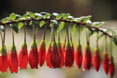 佛山禅城区2私人快速借钱网，轻松解决资金难题