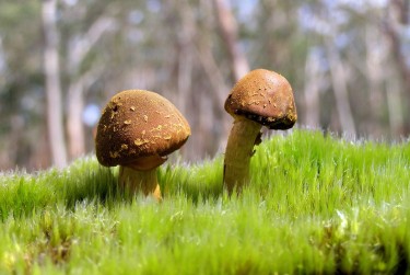 佛山禅城区2私人老板放款：轻松融资的秘密通道